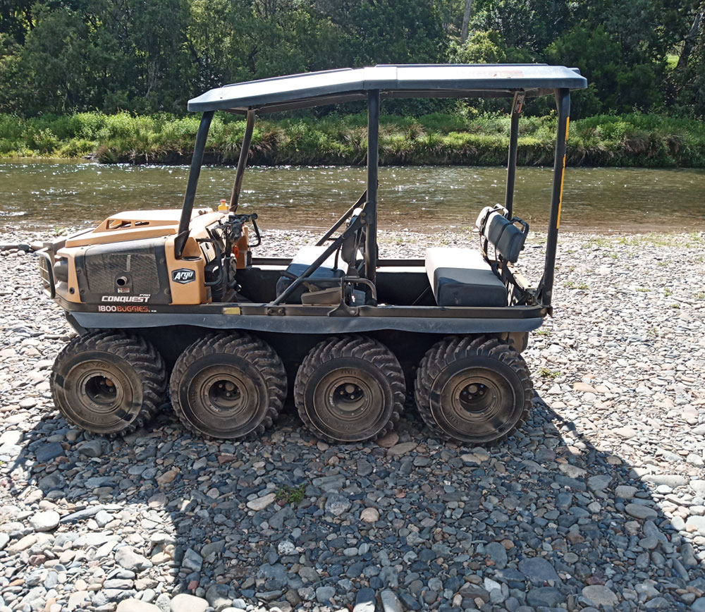 buggies-3