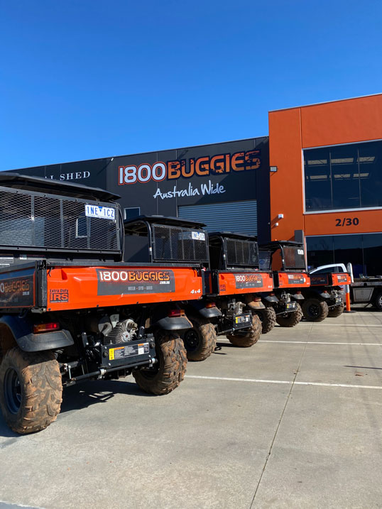 buggies-lined-up-rear