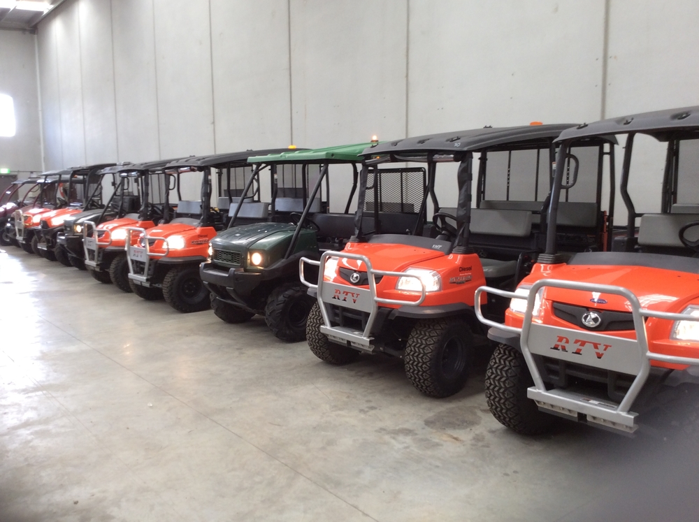 buggies-3