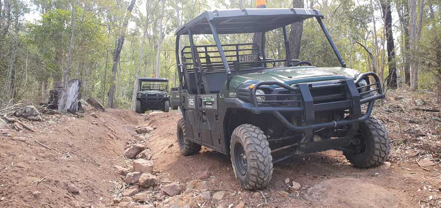 buggies-on-track