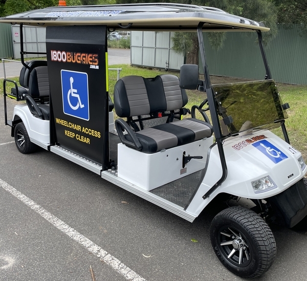 disabled-buggy-hire