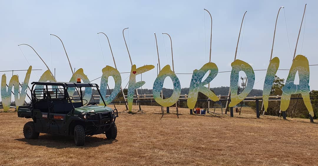 Woodfordia_6_pax_buggy