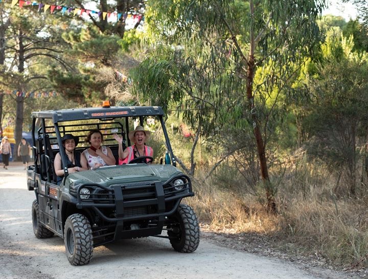 6_person_festival_buggy