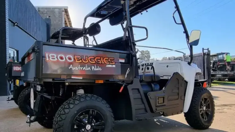 Why Hiring a Buggy Saves More on Short-Term Projects